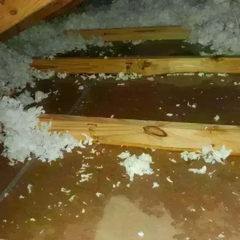 Attic Water Damage in Modoc County, CA